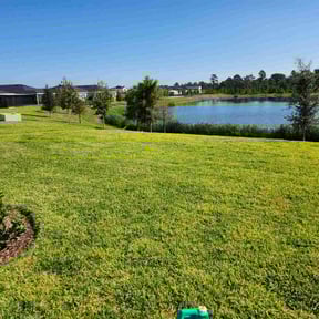 lawn maintenance by Lion's Landscaping reviewed on July 19, 2023