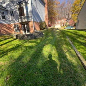 Leaf Removal by Kleen Kutz reviewed on September 30, 2025