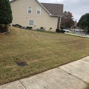 Leaf Removal by Empire Lawn Care reviewed on September 24, 2025