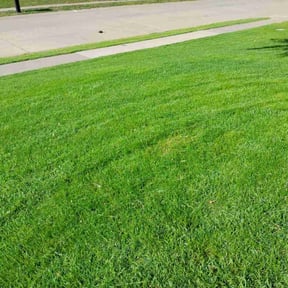 residential landscaping by A+ Lamonds lawn&landscape reviewed on August 20, 2025