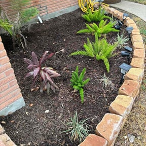 Flower Bed Weeding by Tailored terrain reviewed on November 10, 2025