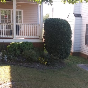 Bush Trimming by Jones' Lawn Care reviewed on August 19, 2025
