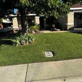 grass cutting by Greener Pastures Lawn Care, LLC reviewed on August 15, 2025