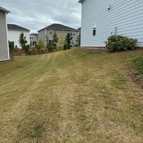 Flower Bed Weeding by Foshie lawn care and more reviewed on October 23, 2025