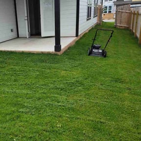 grass maintenance by Amie's Clean Cut Lawns and More reviewed on July 26, 2023
