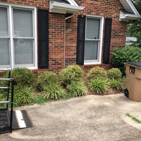 Bush Trimming by Freedom Lawn Care reviewed on August 15, 2025