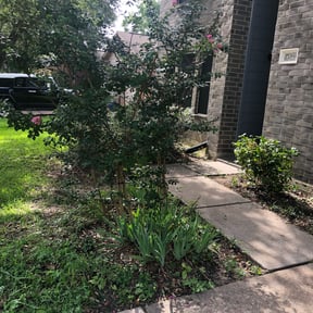 Bush Trimming by Love and Truth lawn care reviewed on August 20, 2025
