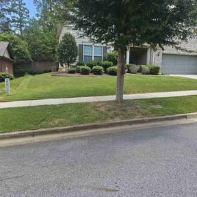 yard maintenance by Lara Landscaping LLC reviewed on August 17, 2025