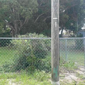 Bush Trimming by South Blooming Pros reviewed on June 29, 2026