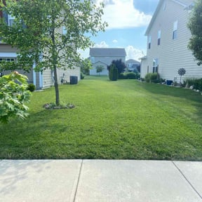 yard service by YARDS N MORE LLC reviewed on August 20, 2025