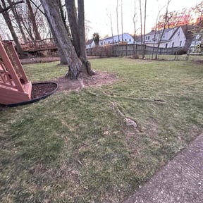 Leaf Removal by Vegas Lawn Guru reviewed on September 26, 2024