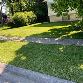 turf maintenance by Taylor’d Lawn Experience reviewed on July 23, 2025
