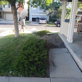 Bush Trimming by s&amp;d untouchable cuts reviewed on December 10, 2022