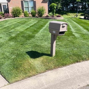 yard work by Forever Young Landscaping LLC reviewed on August 20, 2025