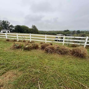 Bush Trimming by CahilSama LLC reviewed on October 24, 2025