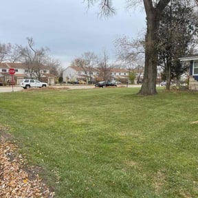 Leaf Removal by Last Man On Turf Lawn Maintenance reviewed on September 7, 2025