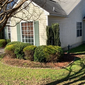 Bush Trimming by OC Lawn Care Services reviewed on August 17, 2025