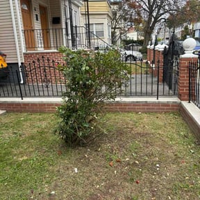 Bush Trimming by Sal&#039;s lawn service  reviewed on November 26, 2025