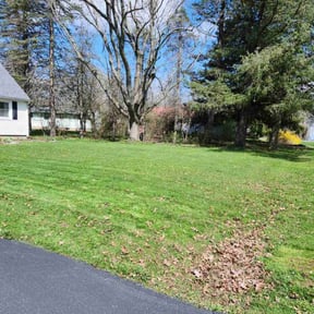 lawn service by K-Kleaners LLC reviewed on March 13, 2024