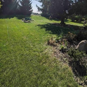 turf care by Rich Evergreen Mindful Lawn Care reviewed on May 26, 2025