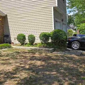 Bush Trimming by Scott's Landscape and pool service reviewed on May 2, 2026