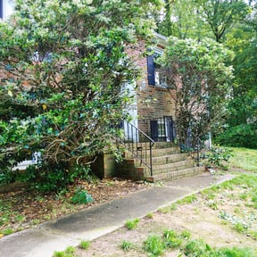 Bush Trimming by Fraire landscaping reviewed on September 27, 2023