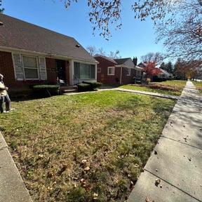 Leaf Removal by Adrian landscaping reviewed on August 15, 2025