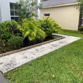 Bush Trimming by Landscape Services by: Eric Mayorga reviewed on August 15, 2025