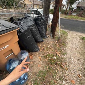 Leaf Removal by All yards reviewed on February 26, 2026