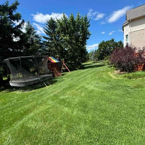 lawn care by Sweat & Soil reviewed on May 29, 2025