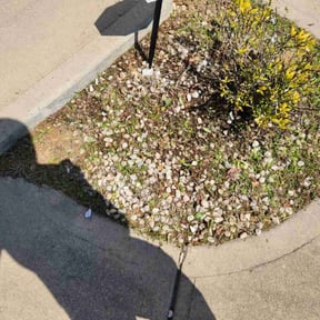 Flower Bed Weeding by Riteous Lawn Care reviewed on August 21, 2025