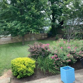 Cleanups by Saul Flores Landscaping reviewed on August 21, 2025