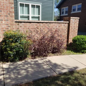 Bush Trimming by Ozzys lawn care reviewed on August 21, 2025