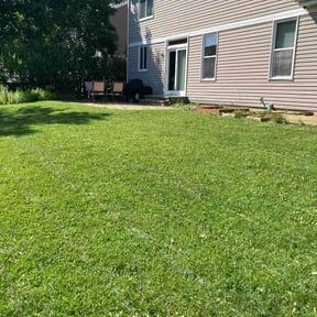 yard care by Grasman LLC reviewed on August 18, 2025