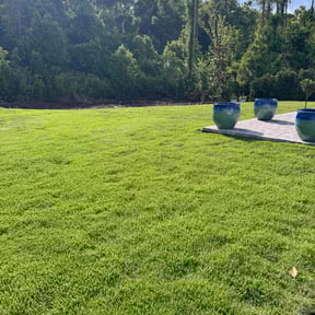 yard service by Hanson Lawn Care reviewed on August 15, 2025