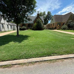 yard care by Chris Lawn Care. reviewed on August 15, 2025