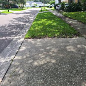 Bush Trimming by Zeke The Geek's Lawn Cutting Services reviewed on August 17, 2025