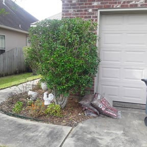 Bush Trimming by Aguilars Lawn Service reviewed on August 20, 2025