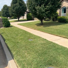 landscaping services by Mr and Mrs Lawngevity reviewed on August 19, 2025