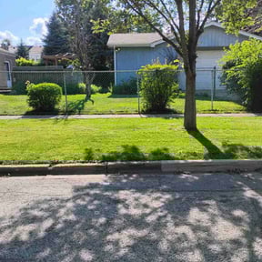 yard care by A&M reviewed on August 18, 2025