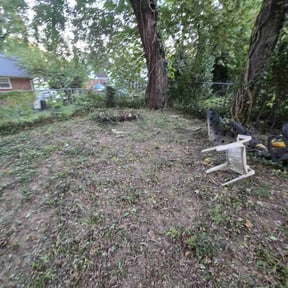 Bush Trimming by Riders Lawn Care Services reviewed on August 17, 2025