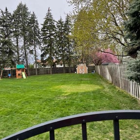 yard care by Family lawn and tree service llc reviewed on August 20, 2025