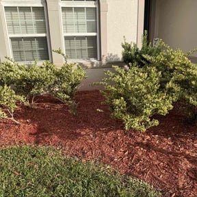 Flower Bed Weeding by Roger waddle service llc reviewed on November 18, 2025