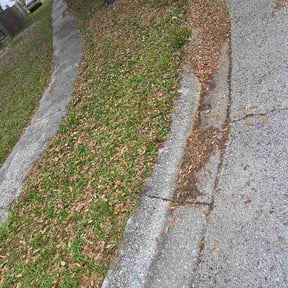 Leaf Removal by Davis Yard Works, LLC reviewed on March 27, 2026