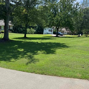 yard service by FMD Lawn reviewed on April 27, 2025