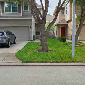 Long Grass Cleanup by Loyalty lane  landscaping reviewed on August 17, 2025