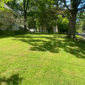 yard service by Garrison Lawn Care and  Maintenance reviewed on November 22, 2025