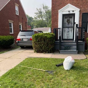 Bush Trimming by Landscaping Services reviewed on August 17, 2025