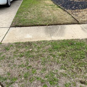 Leaf Removal by 3 Amigos Landscaping  reviewed on September 13, 2025