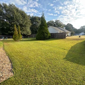 yard care by LISKO LAWNCARE AND TRASH REMOVAL LLC reviewed on August 16, 2025